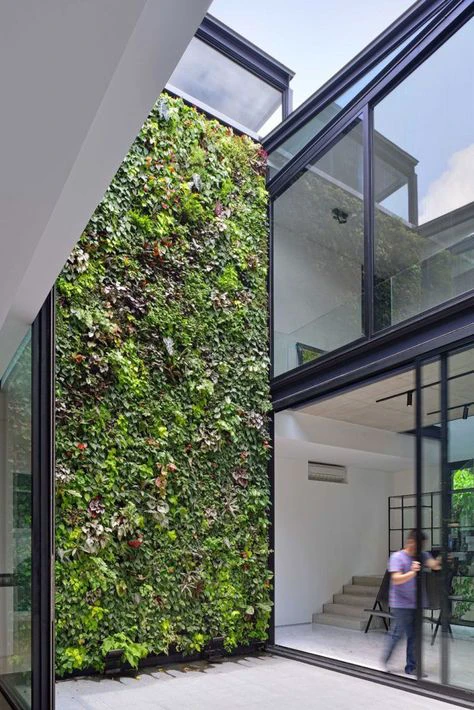 Creation of a three-dimensional green transitional space.