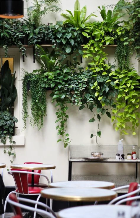 Creation of a three-dimensional green transitional space.