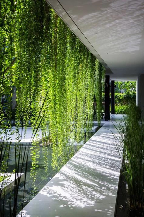 Creation of a three-dimensional green transitional space.