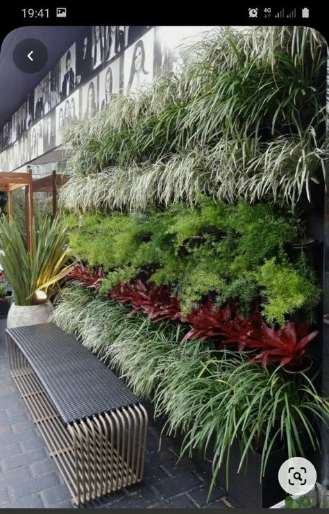Creation of a three-dimensional green transitional space.