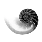 nautilus