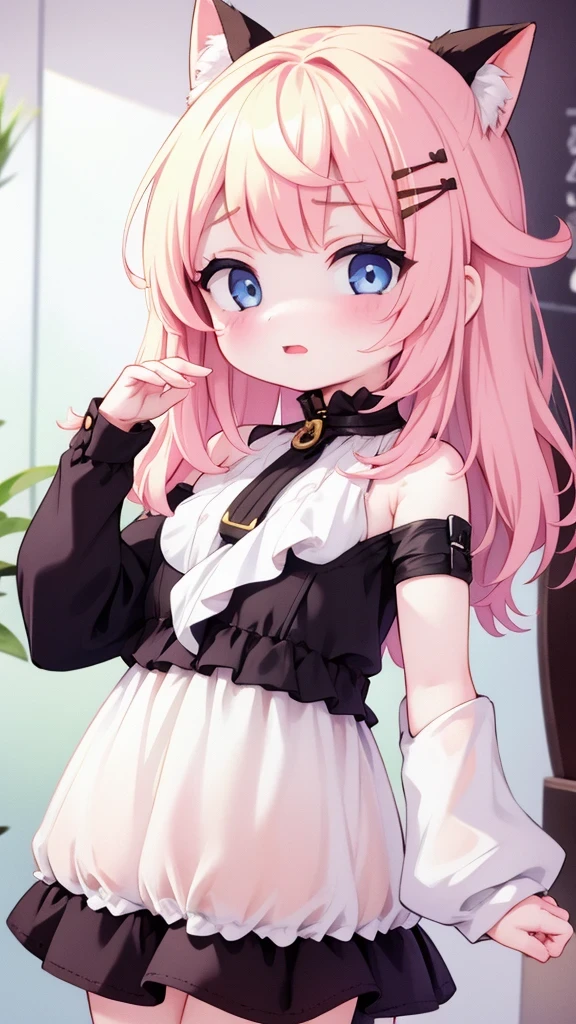 卡片们（2）