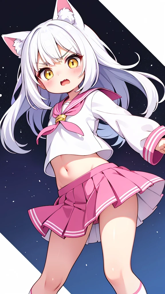 卡片们（2）