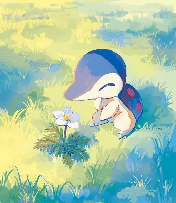 Misc