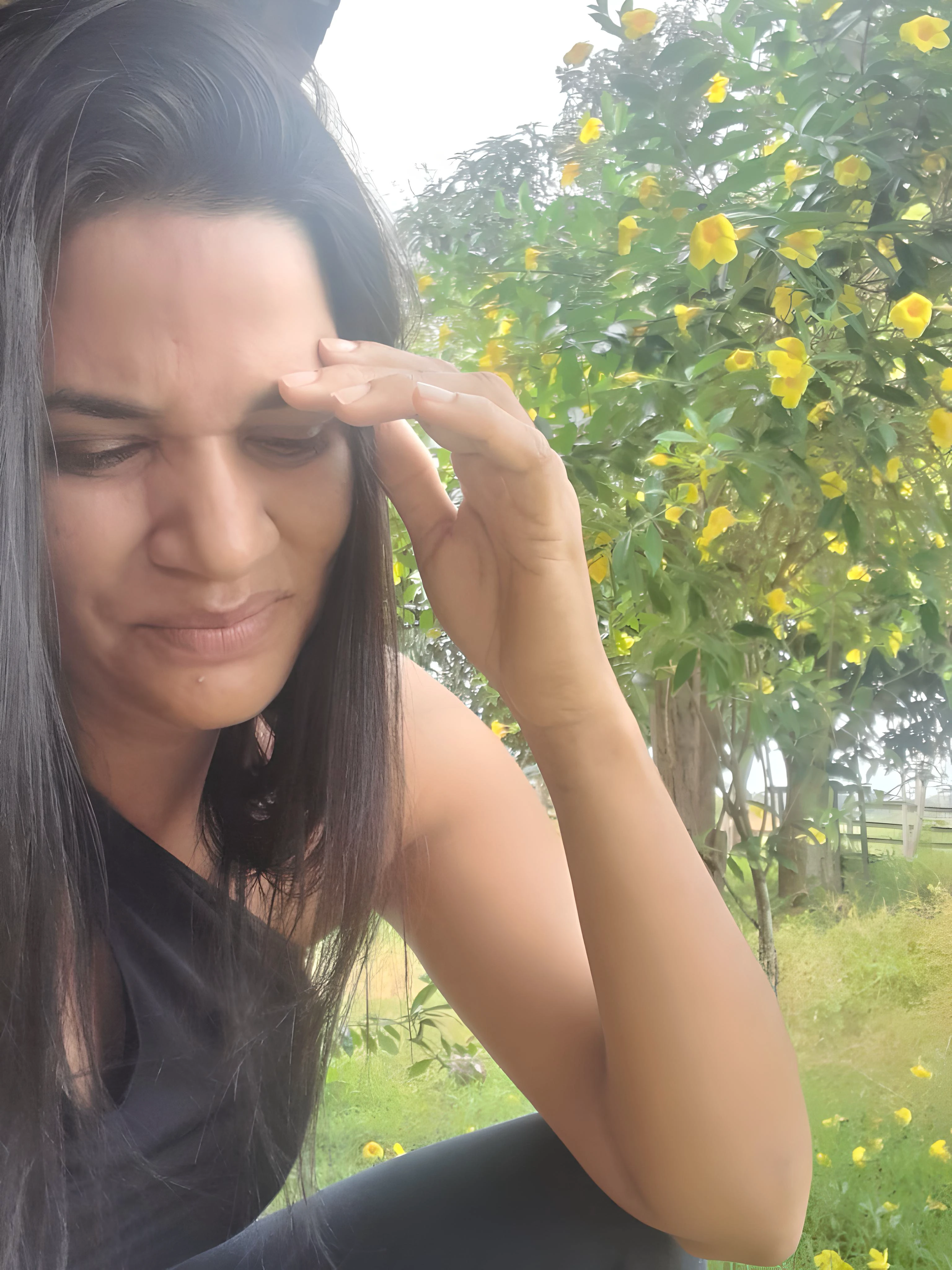 todo dia