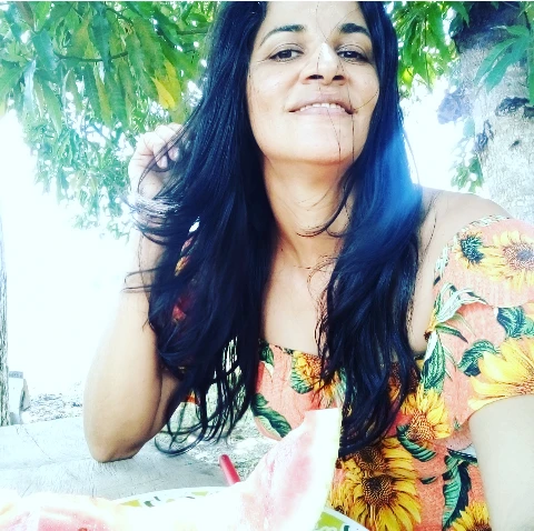 todo dia