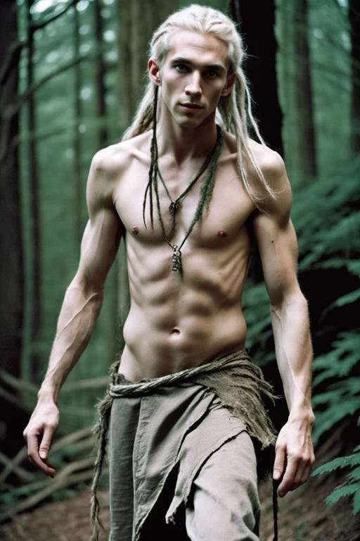 Wood Elves