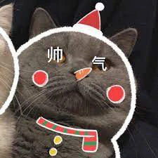 貓情頭