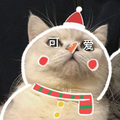 貓情頭