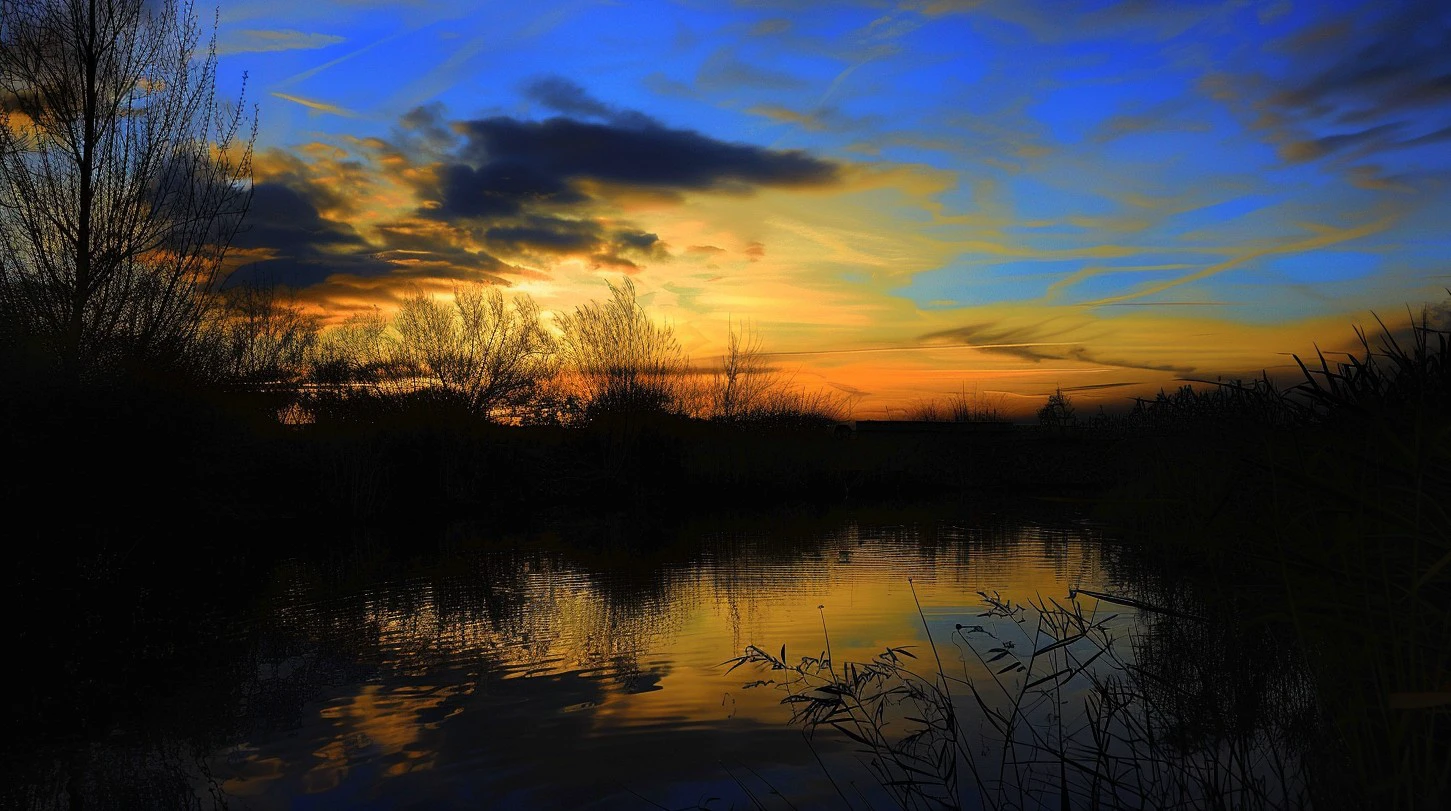 Evening Pond/傍晚的池塘/夕暮れの池