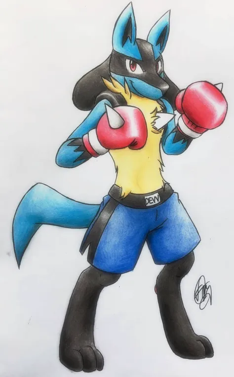 Luca the Lucario Boxer