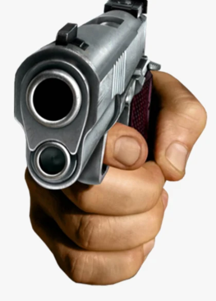 Gun