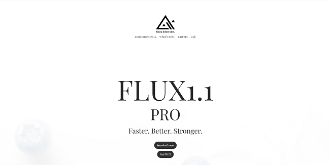 FLUX 1.1 Pro – Black Forest Labs homepage