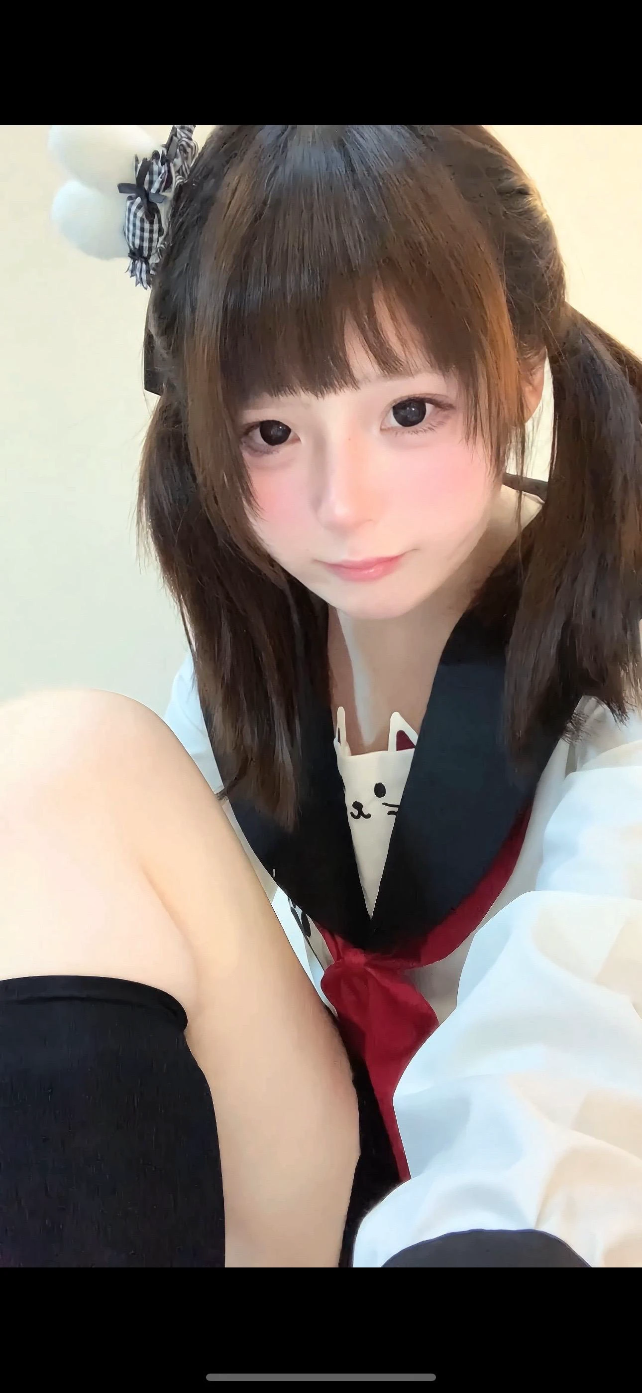 fanqie2 s56j