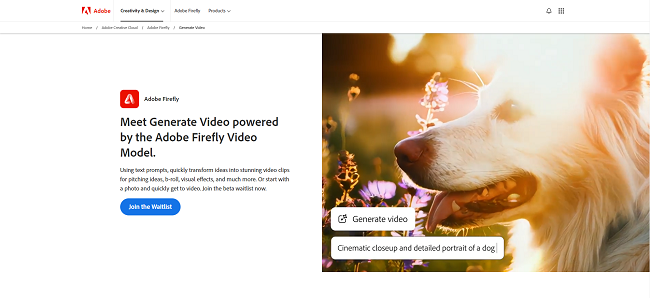 Adobe Firefly Video homepage