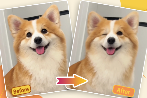 Before-and-after Comparison of Wink Filter 2