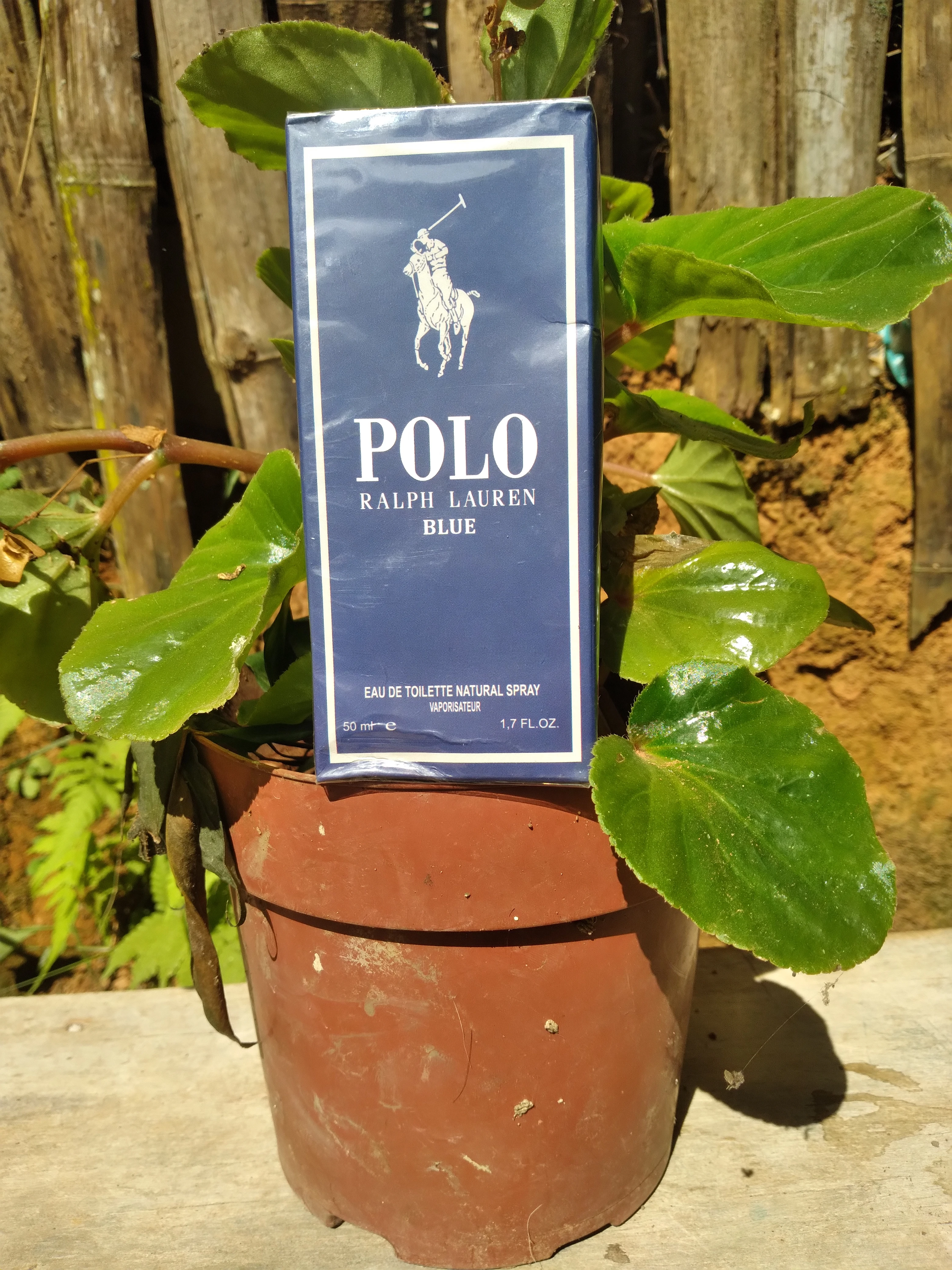 Perfeme Polo Ralph lauren blue 