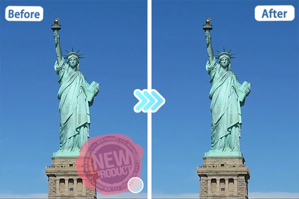 Before and After Comparison 1