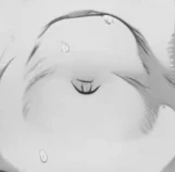 comic girl expand hole v1.0