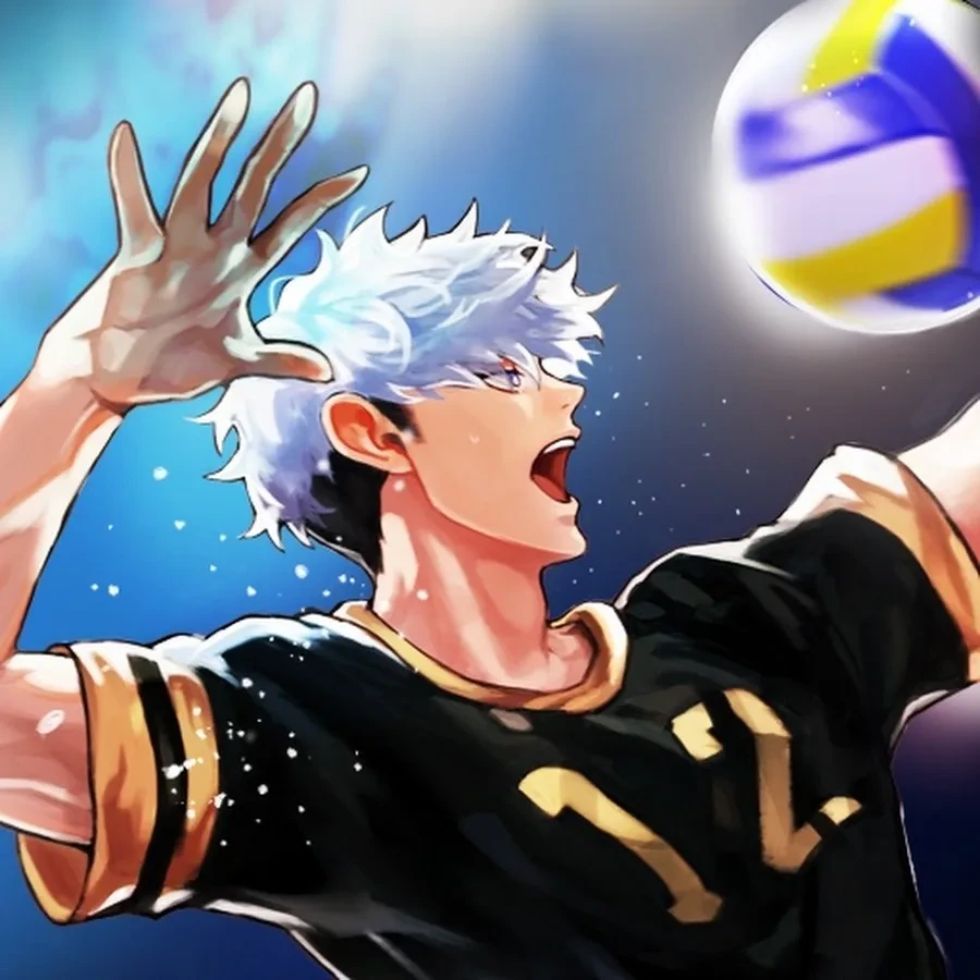 The Spike Volleyball