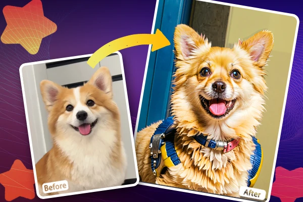 before-and-after comparison picture 2