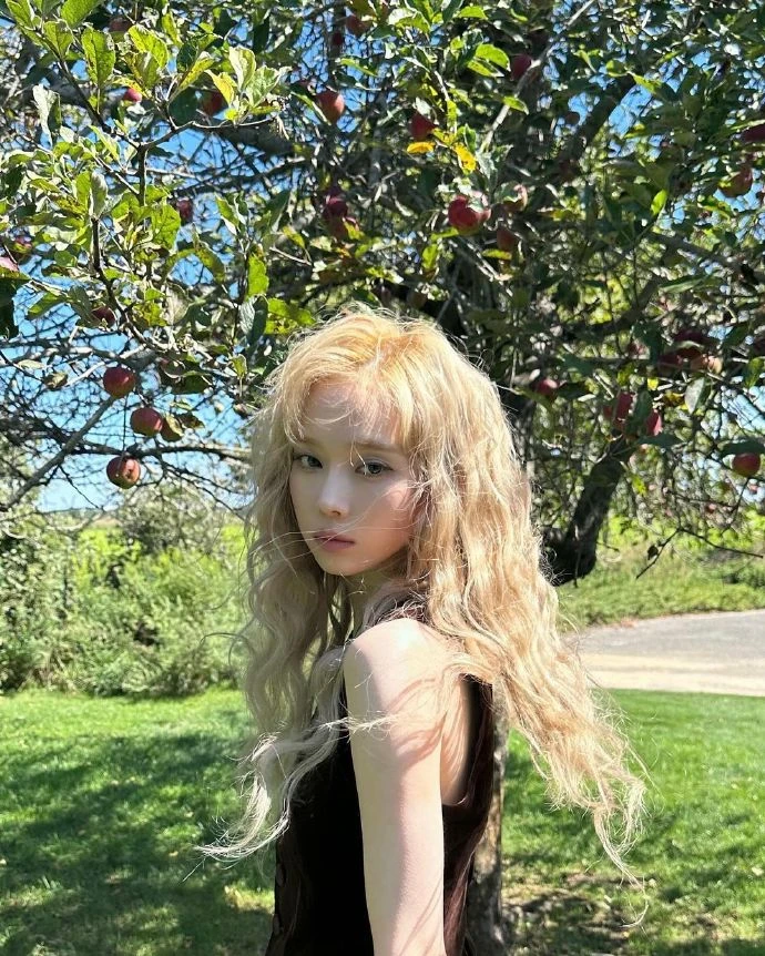 aaa 1