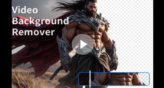 Video background remover