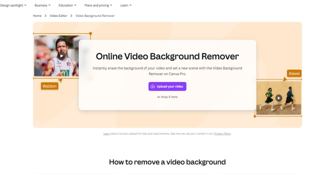 Canva video background remover page