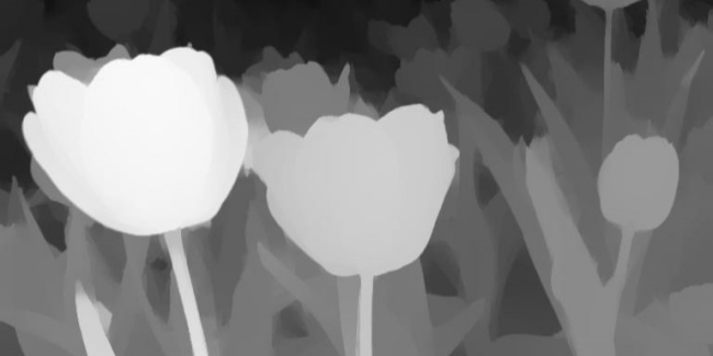 Depth maps of flowers