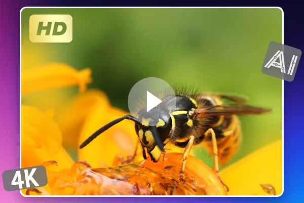 AI-Generated Videos at Stunning Quality