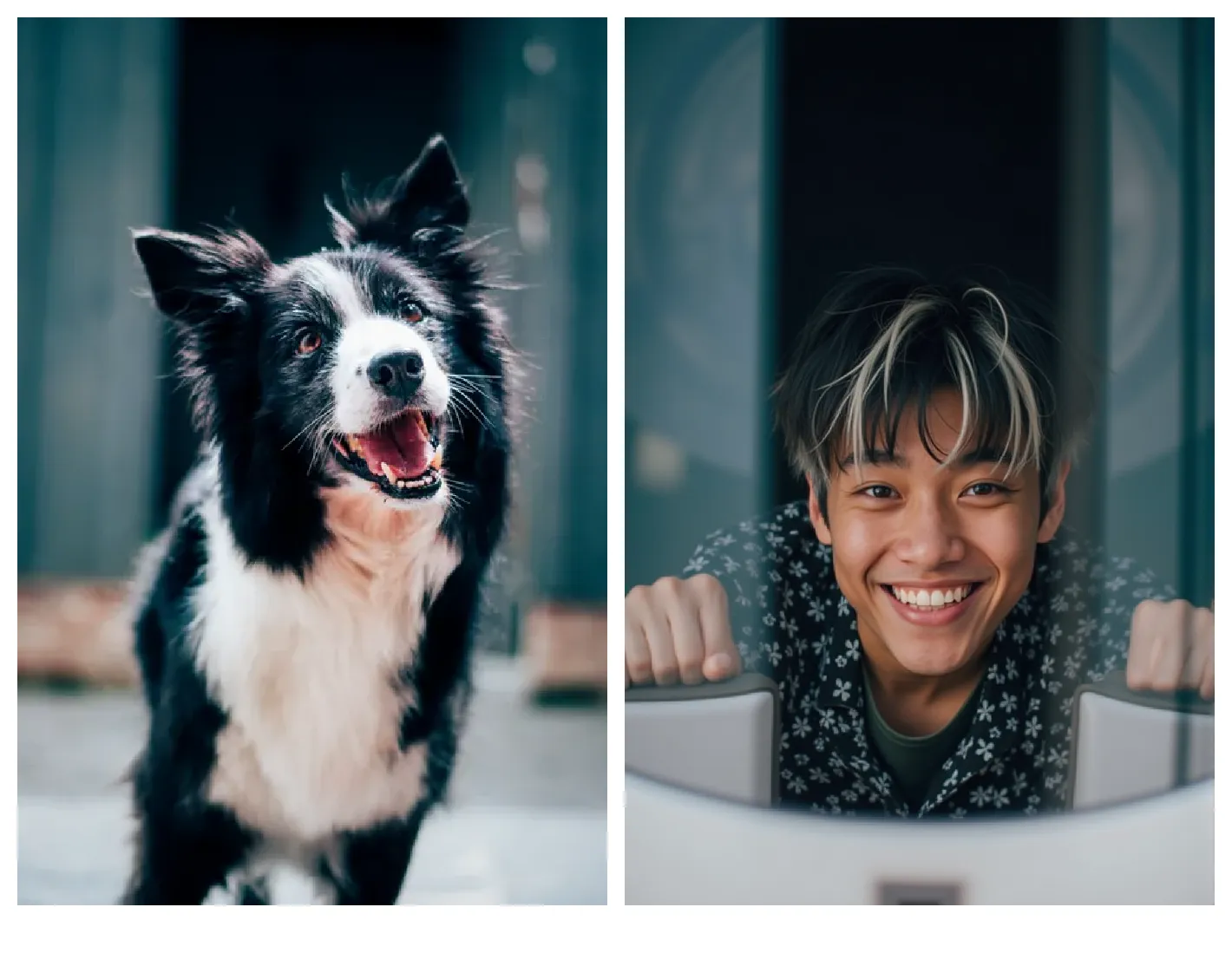 Please upload a photo of your pet，Guess what he would look like as a real person~