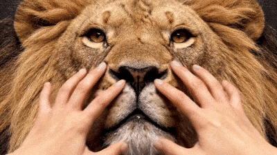 Générateur de pincement