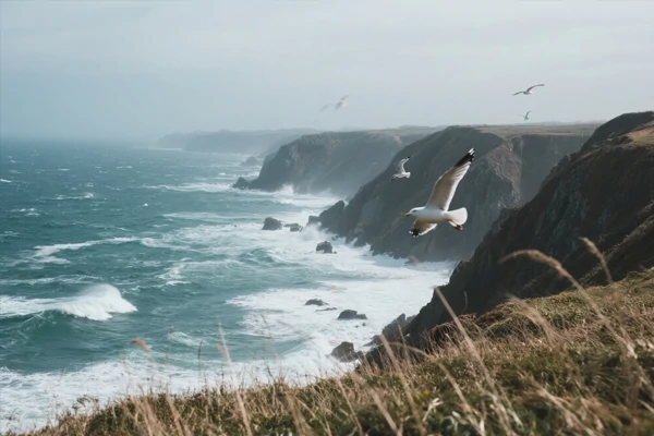 Wan AI-Generated Image Example 4