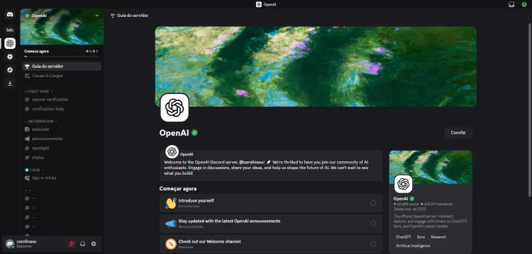 Obtendo Código Sora 2 no Discord