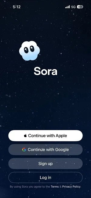 Sora logging interface