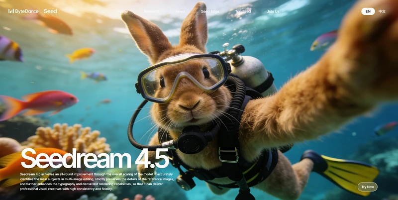 Seedream 4.5 homepage