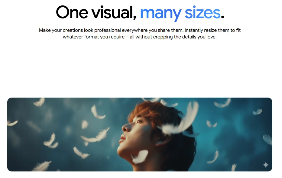 The flexible aspect ratio of the NB2 model