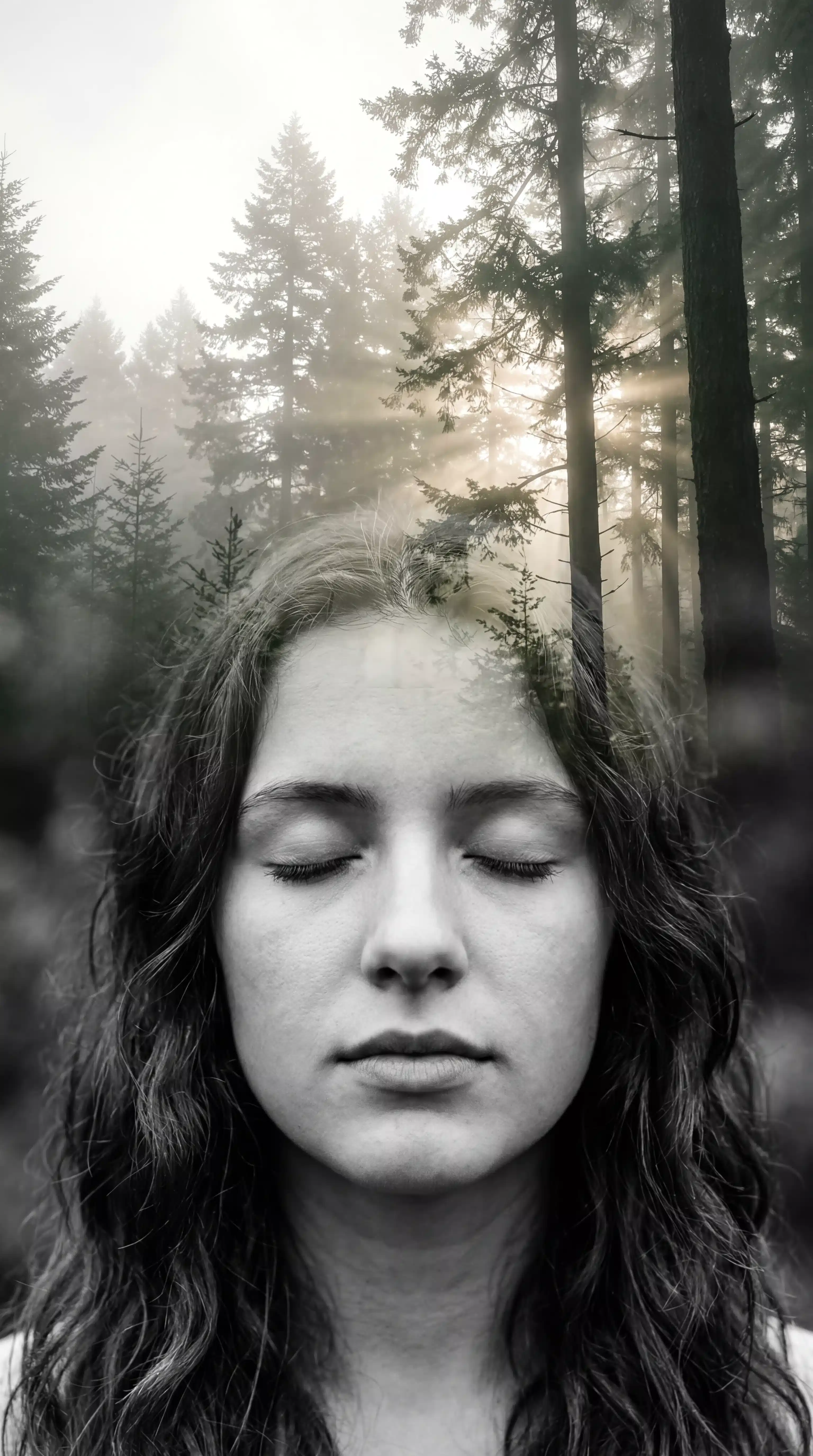 Double exposure portrait blending a woman's face with a misty pine forest, Nano Banana 2 prompt result