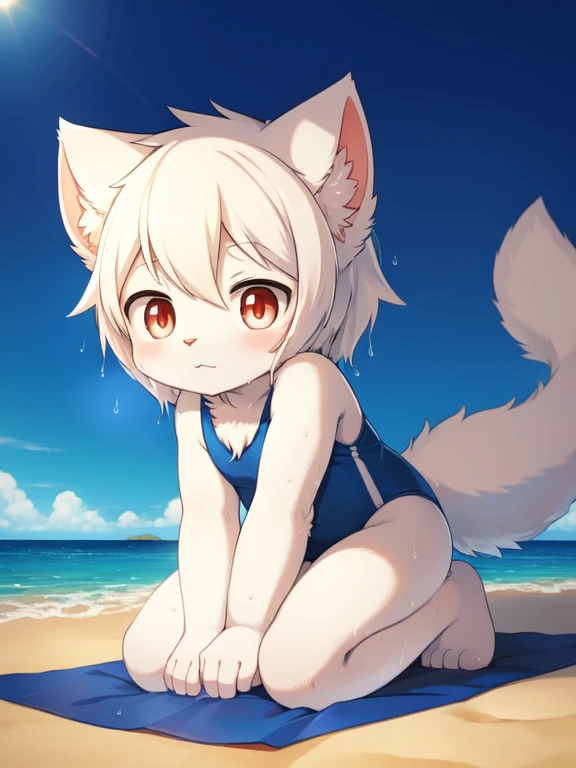 white cat, Alone, External, Red pupils,, (wet fur:1.4), detailed hair, young white cat，Blue and yellow gradient one-piece swimsuit,Firmware version, furry anime, Realistic anime cat, Bragon, very cute face, face flushed, Playful, young, detailedbackground,...