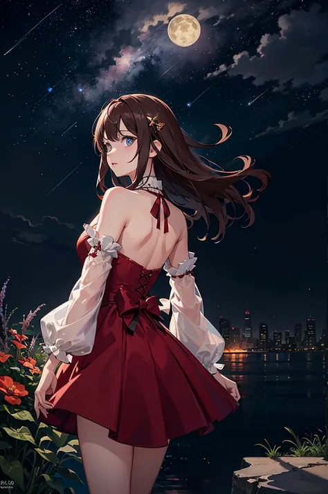 full moon night, Starry sky, shooting stars, a 20 years old girl wearing a red dress outfit standing on a sea of Colorful flowers, long brown hair, blue eyes, Looking at the sky, back to the spectators, butterfly, Fireflies, (Focus Girl:0.7) break, detaile...