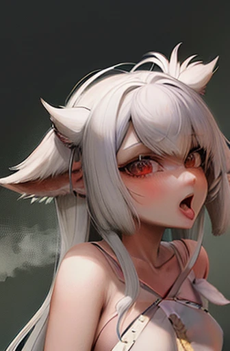 it depicts an 18-year-old girl who embodies the characteristics of a beast with beast ears and a bushy beast tail。she wears weap...