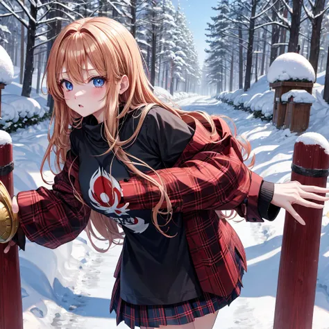 red blonde、blue eyess、one good looking girl、独奏、animesque、Plaid miniskirt、Black T-shirt、coat、the woods、Sunlight、Looks cold、Snow is piled up、kicking snow、Wearing a muffler、Gah