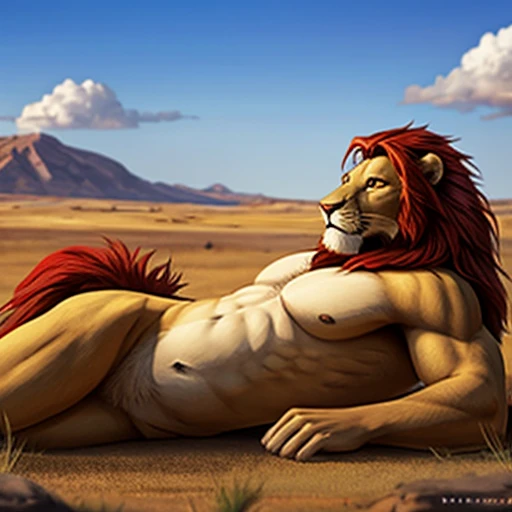 Side view of a lean and young lion with a red mane lying on his belly