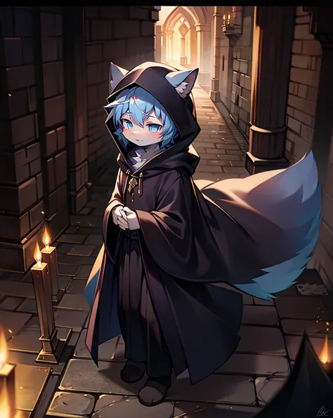 Wizard gray cat boy alone in ancient castle，In the middle of the night，The environment is dim,With hood and cape，Dressed in black robes，Have a pair of glowing blue eyes，Cute face，Although he looks cold, he is actually kind