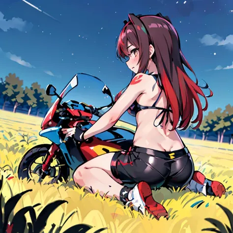 arte por dagasi,(best quality,4k,altas,master part:1.2), (back view:1.3), (hairy girl sitting on a motorcycle in a field at nigh...