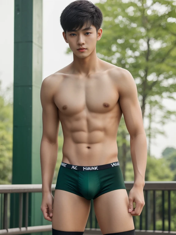 16 years old teenagers , very young , light-skin , wearing an dark green sexy underwear, tmasterpiece，k hd，the feet ，black long socks，The barefoot , green colour , handsome and cute , extreme cute boy , white skin , dark green underwear boxers shorts , ext...