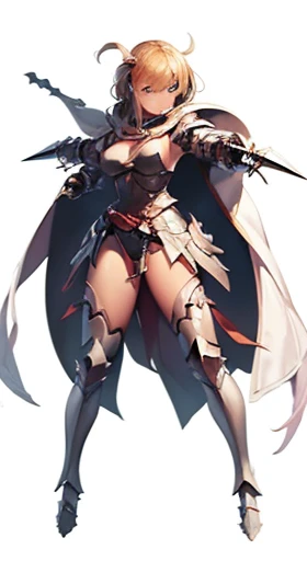 (((Best Quality))) , ((full body)), female, reference sheet, solo, (white background), holding weapon, cloak, gauntlets, holding shield, leotard, armored dress, waist armor, loincloth,