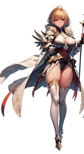 (((Best Quality))) , ((full body)), female, reference sheet, solo, (white background), holding weapon, cloak, gauntlets, holding shield, leotard, armored dress, waist armor, loincloth, pelvic curtain,