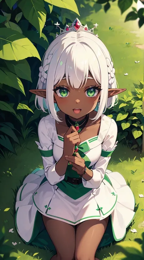 ((Dark Skin)),((Elf Woman)),((White Hair)),((Green Eyes)), ((Princess dress)),((Cheerful))