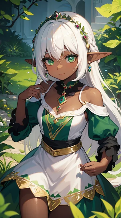 ((Dark Skin)),((Elf Woman)),((White Hair)),((Green Eyes)), ((Princess dress)),((Cheerful))